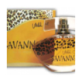 Savanna Wild Cat